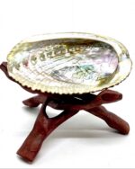 Abalone Shell And Wooden Stand Set Sage Not Included - Image 2