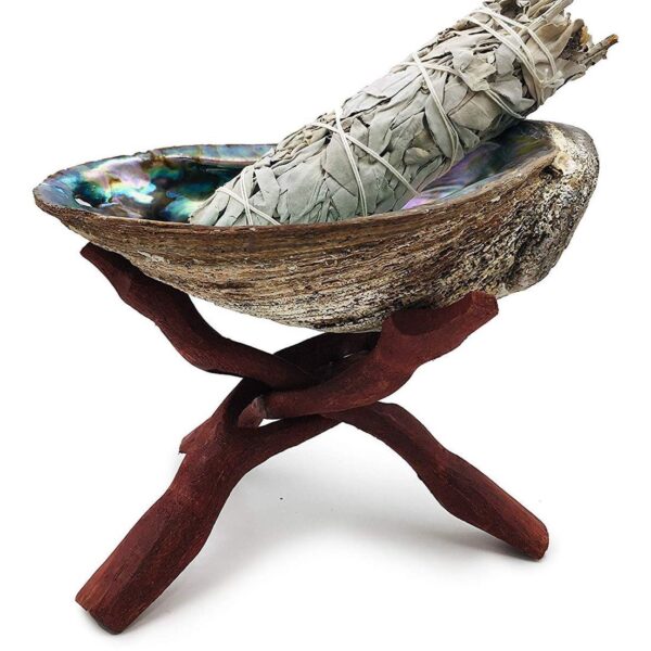 Abalone Shell And Wooden Stand Set Sage Not Included