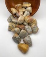 Mexican Lace Agate Crazy Lace Agate 1pc - Image 2