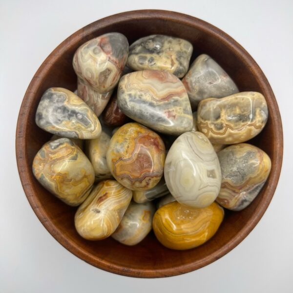 Mexican Lace Agate Crazy Lace Agate 1pc