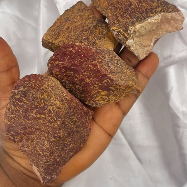 Calligraphy Stone Miriam Jasper Elephant Skin Jasper Script Stone 1pc