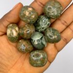 Rhyolite Rainforest Jasper Crystal Tumbled Stone 1pc