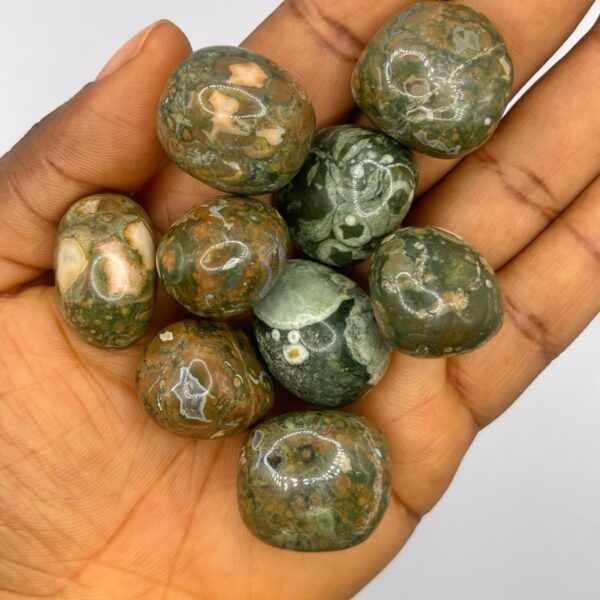 Rhyolite Rainforest Jasper Crystal Tumbled Stone 1pc