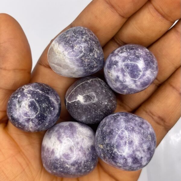 Lepidolite Tumbled Stone 1pc