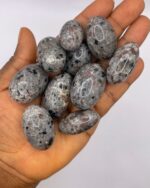 Yooperlite Tumbled Stone