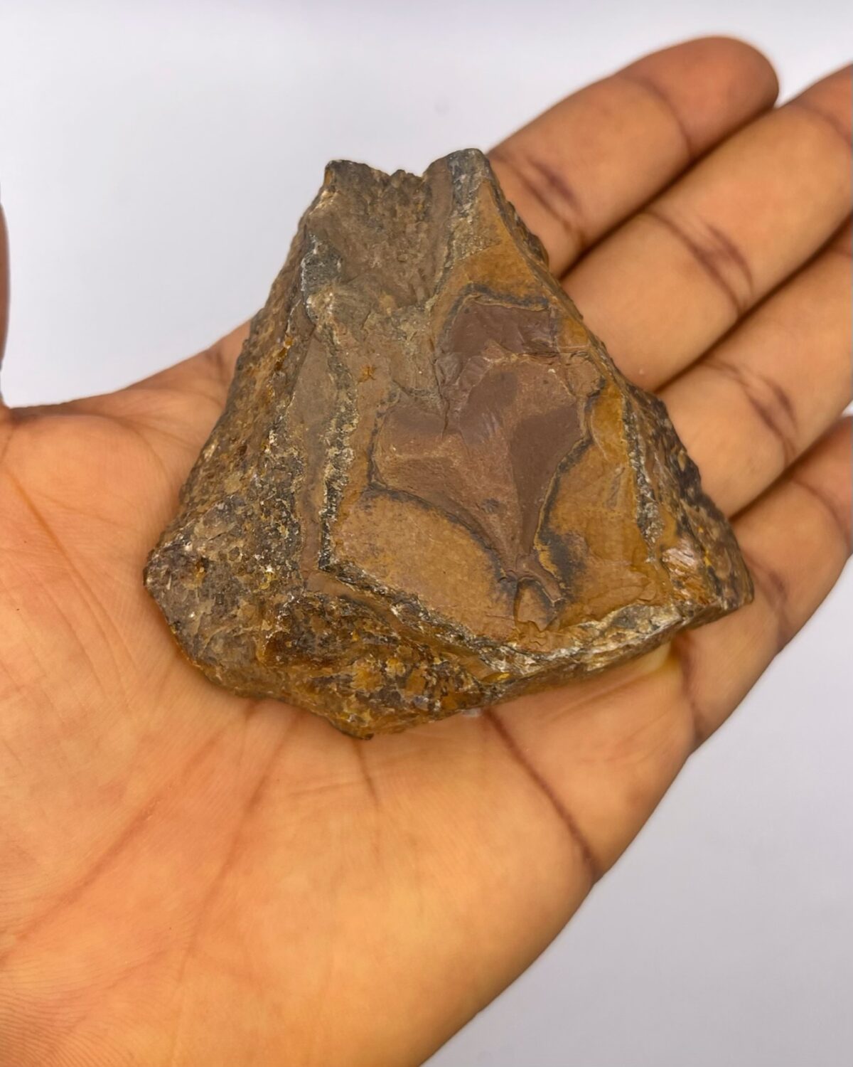 Tiger's Eye Crystal Raw Stone Tiger eye 1pc - Image 6