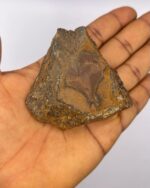 Tiger's Eye Crystal Raw Stone Tiger eye 1pc - Image 6