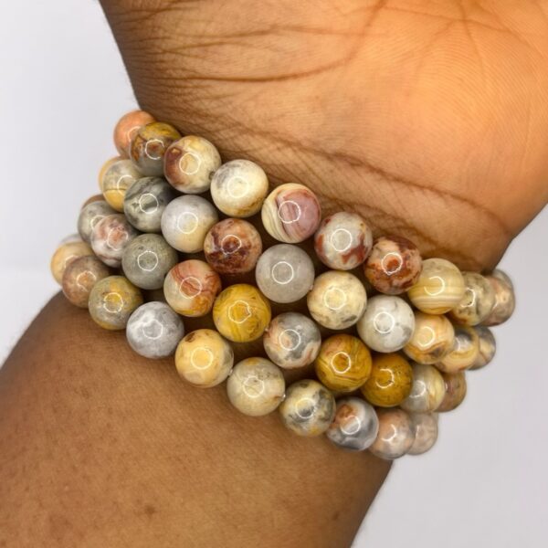 Mexican Lace Agate Crazy Lace Agate  Crystal Bracelet 1pc