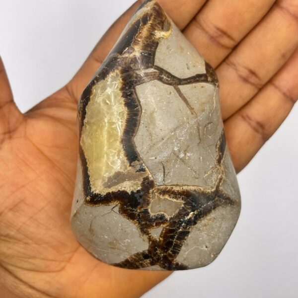 Septarian Stone (Dragon Stone) - Flame Shape