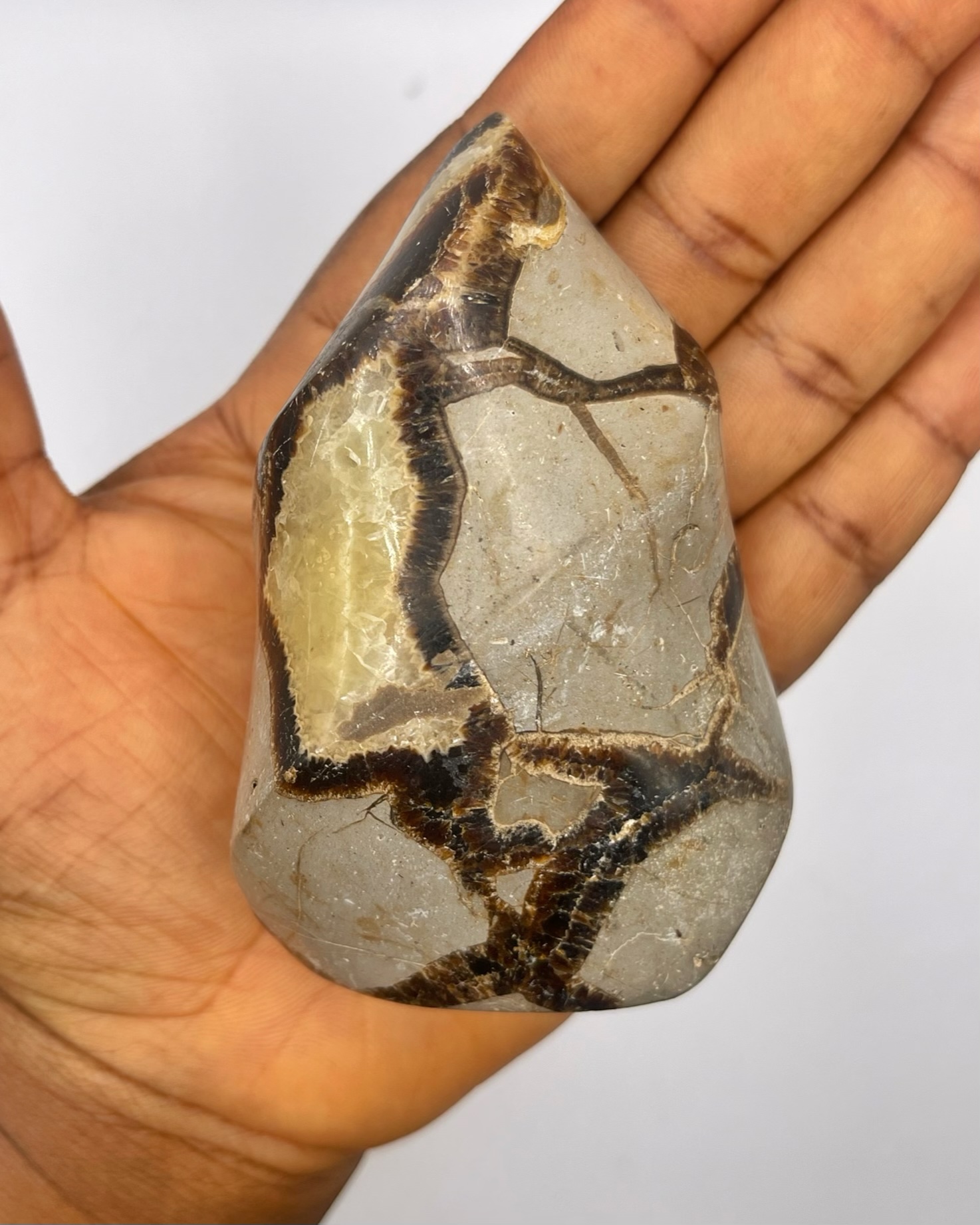 img_6443-compressed Septarian Stone (Dragon Stone) - Flame Shape - Image 1