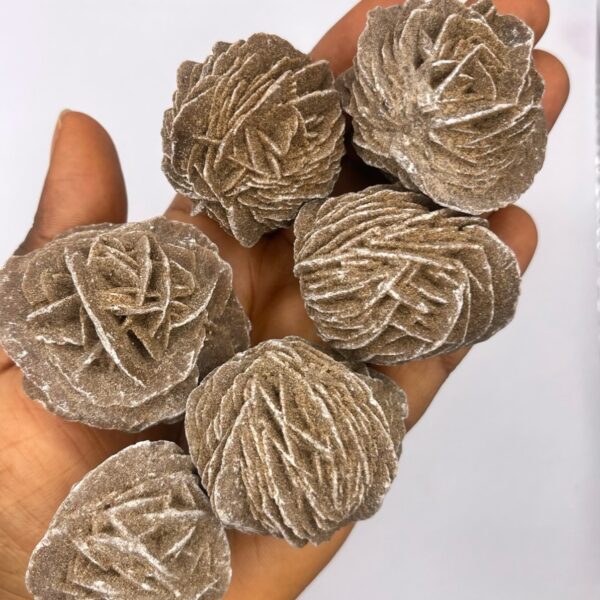 Desert Rose Selenite Gypsum Rose Stone 1pc