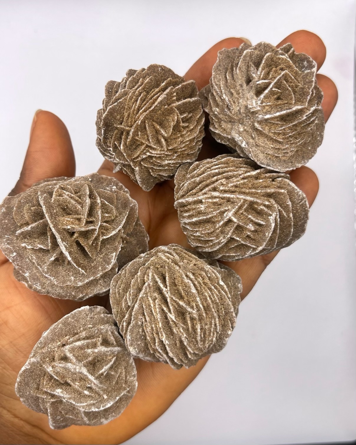 img_7479-compressed Desert Rose Selenite Gypsum Rose Stone 1pc - Image 1