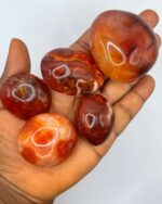 Carnelian Palmstone 1pc