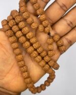 Rudrashka Seed 5 Mukhi (Faces) 108 Mala Necklace 1pc - Image 2
