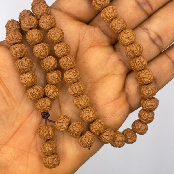 Rudrashka Seed 5 Mukhi (Faces) 108 Mala Necklace 1pc