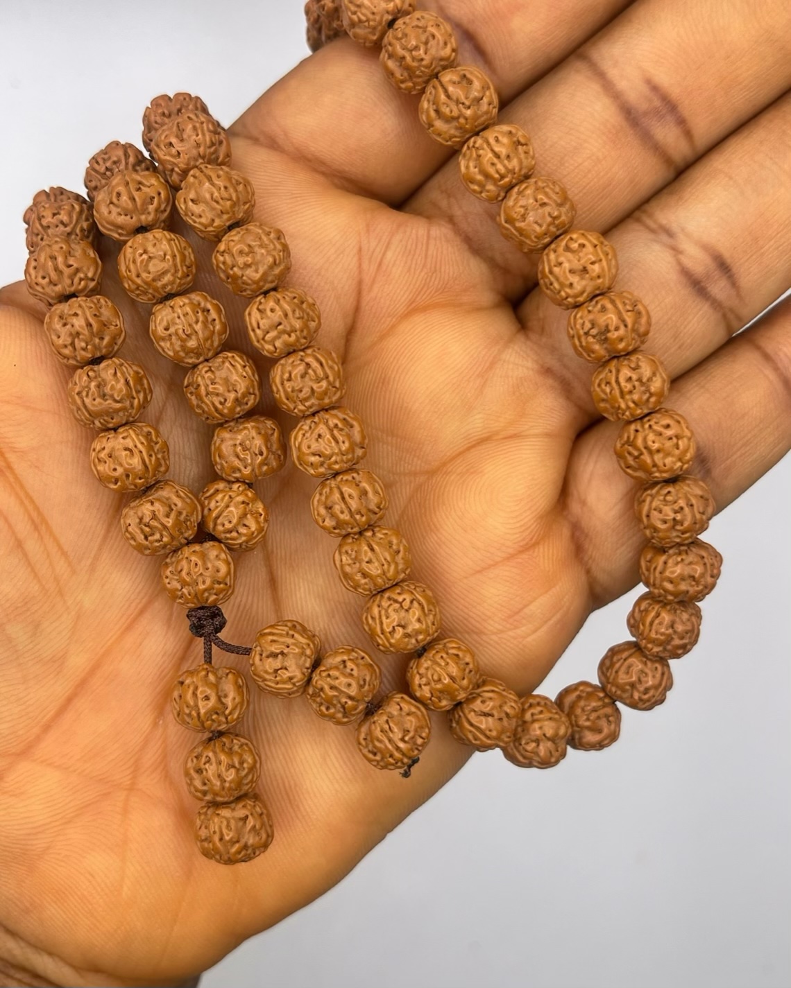 img_7505-compressed Rudrashka Seed 5 Mukhi (Faces) 108 Mala Necklace 1pc - Image 1