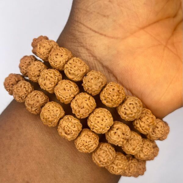 Rudrashka Seed Bracelet 1pc