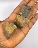 Tiger's Eye Crystal Raw Stone Tiger eye 1pc - Image 3