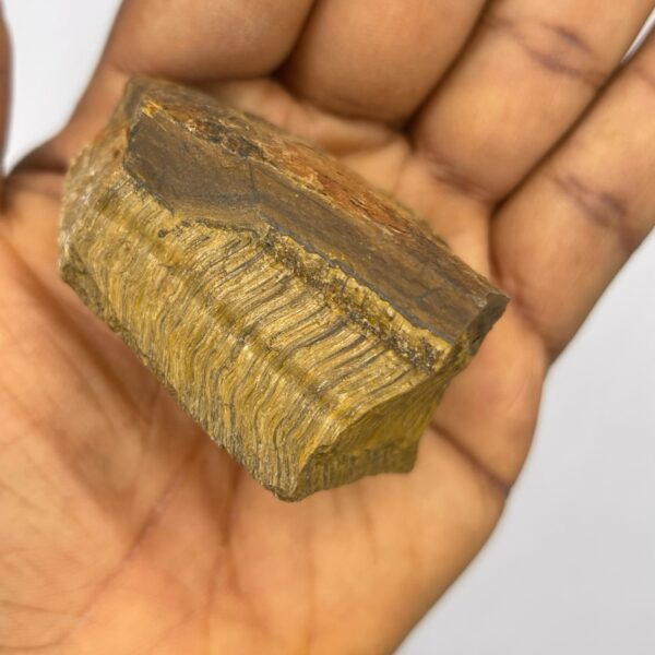 Tiger's Eye Crystal Raw Stone Tiger eye 1pc