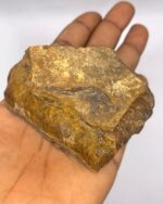 Tiger's Eye Crystal Raw Stone Tiger eye 1pc - Image 2