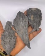 Black Kyanite Raw Stone -1pc