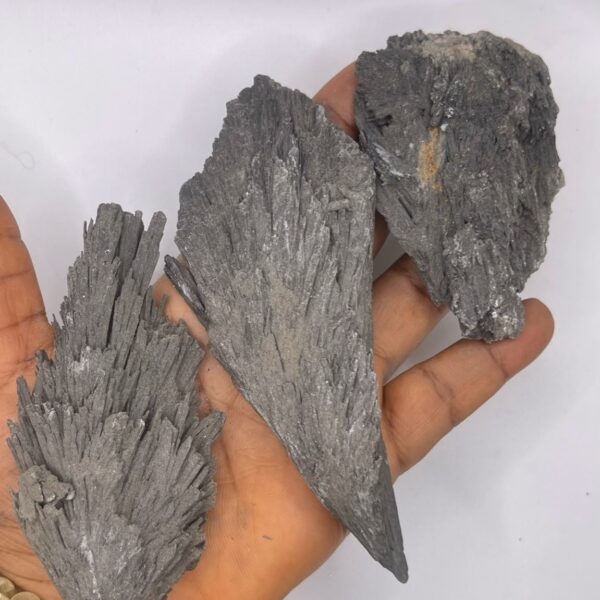 Black Kyanite Raw Stone -1pc