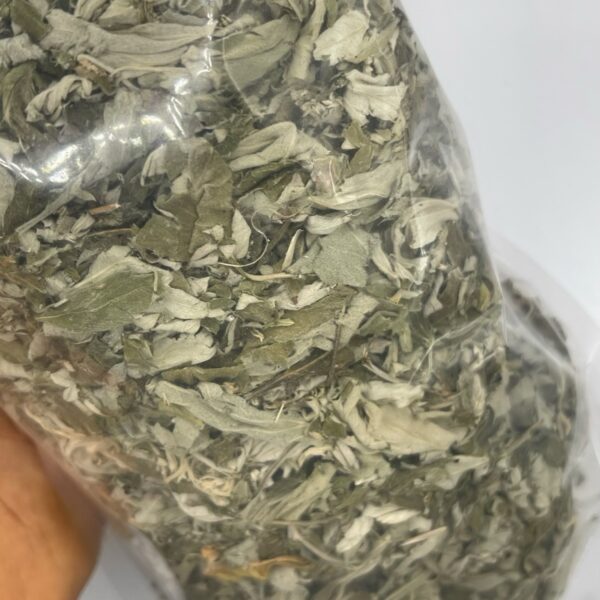 Mugwort Dried Leaf Tea Spiritual Herbs Intuition and Awareness