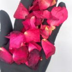 Rose Petals Food Grade Tea Spiritual Herbs Love Spells Self Love Ritual 100g