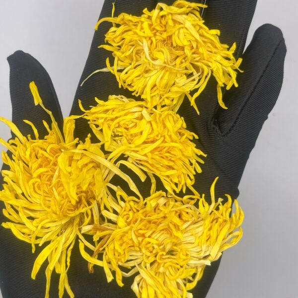 Premium Golden Silk Chrysanthemum For Tea Wellness, Spiritual Herbs Calm, Clarity 100g