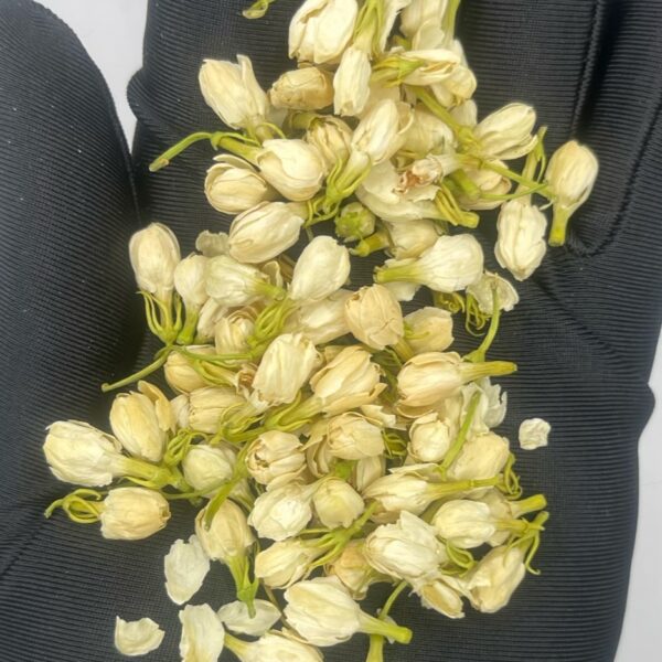 Jasmine Buds Tea High Quality Spiritual Herbs 100g